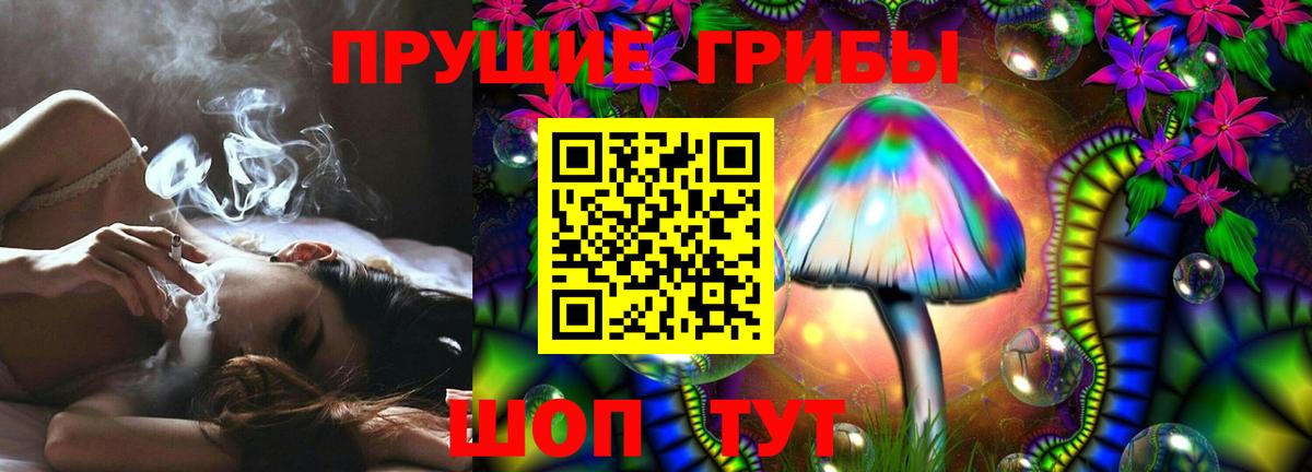 Псилоцибиновые грибы мицелий Элиста